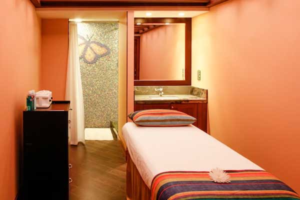 Disney Wonder Gallery Image